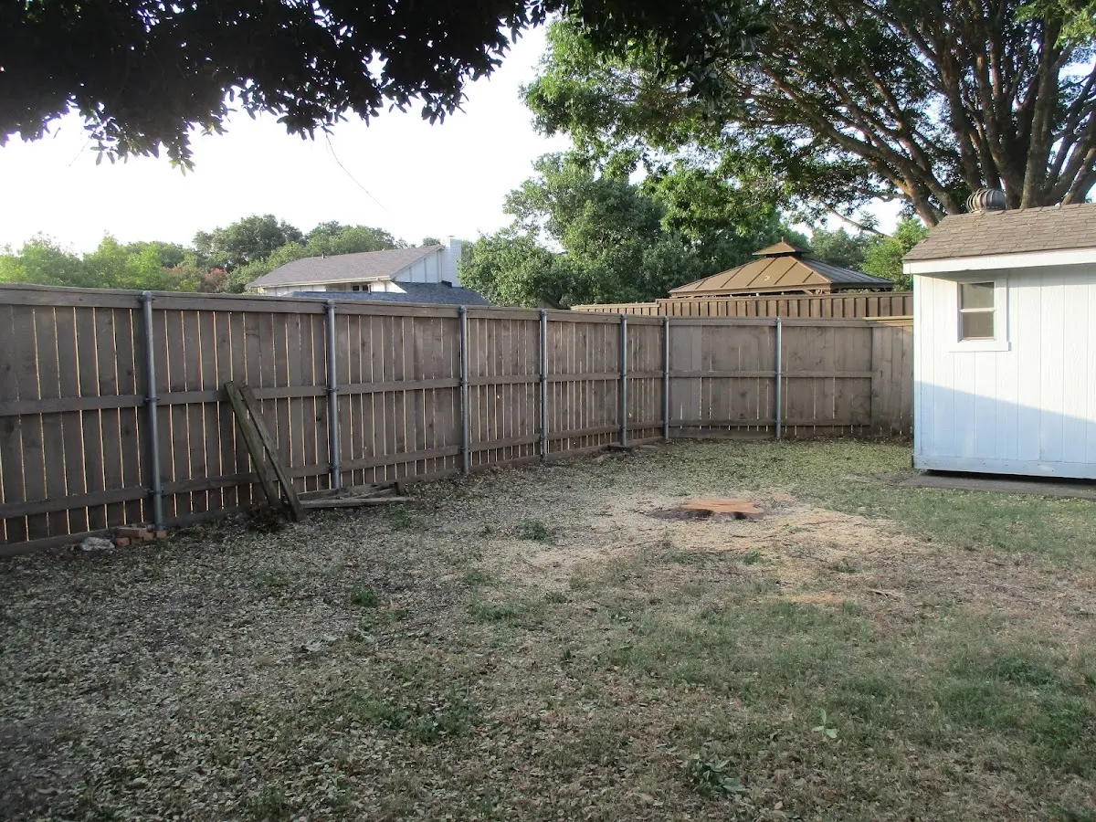 Cleared yard after professional tree removal in North Sandwich